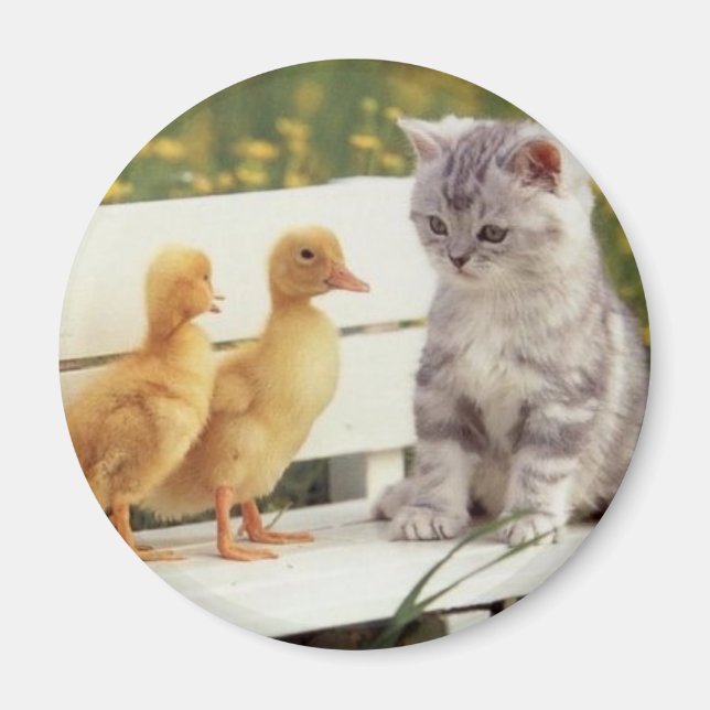 Kitties and Chicks Magnet (Front)