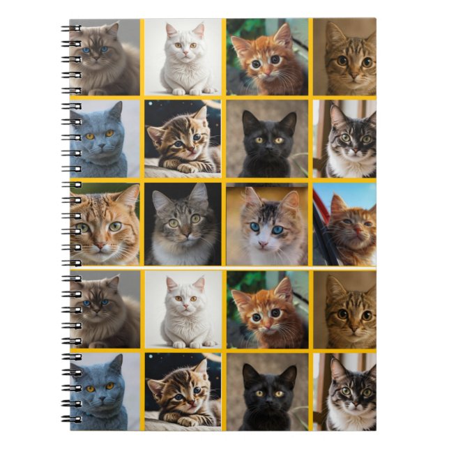 Kitties Everywhere Notebook (Front)