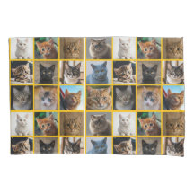 Kitties Everywhere