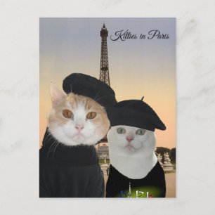 Kitties in Paris Postcard