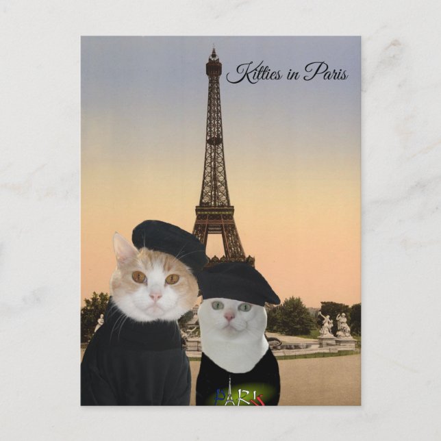 Kitties in Paris Postcard (Front)