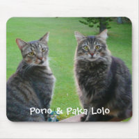 Kitties  Pono & Paka Lolo