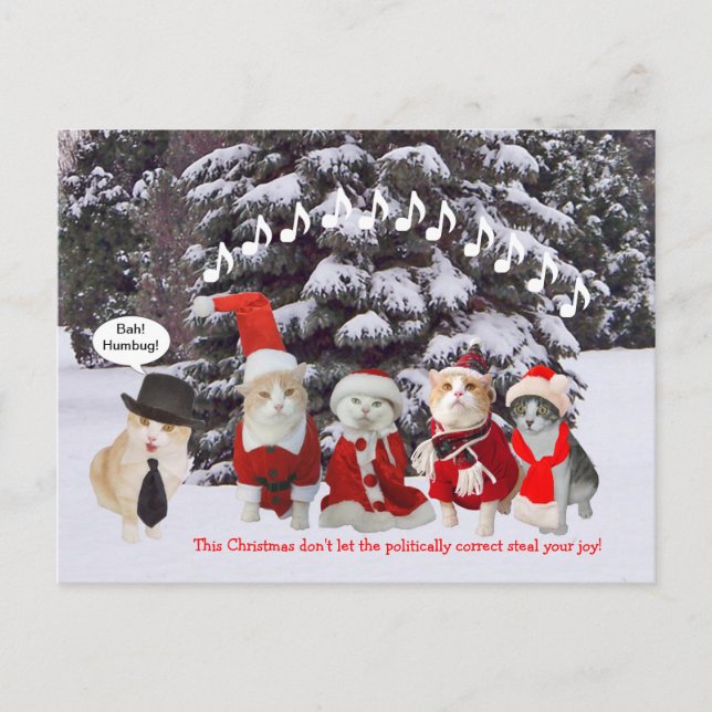 Kitties Singing Christmas Carols Holiday Postcard (Front)