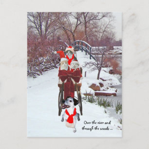Kitties' Sleigh Ride Postcard