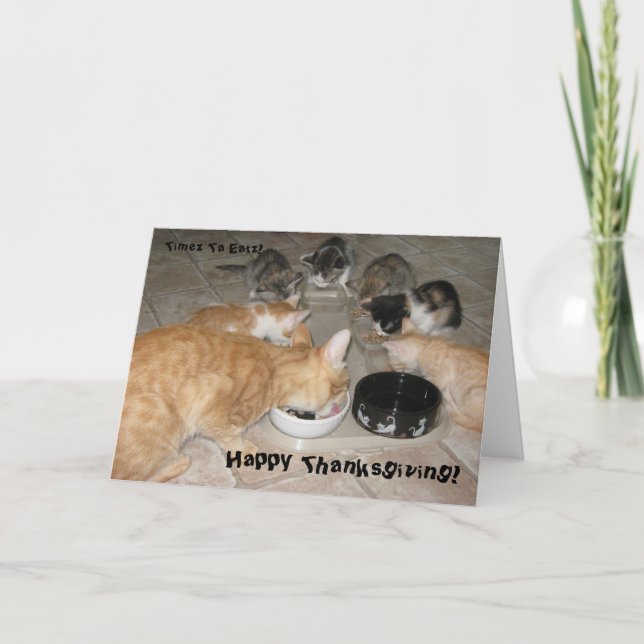 Kitties Thanksgiving ! Holiday Card (Front)
