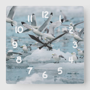 Kittiwakes Flying Square Wall Clock