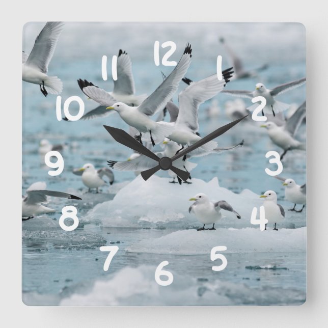 Kittiwakes Flying Square Wall Clock (Front)