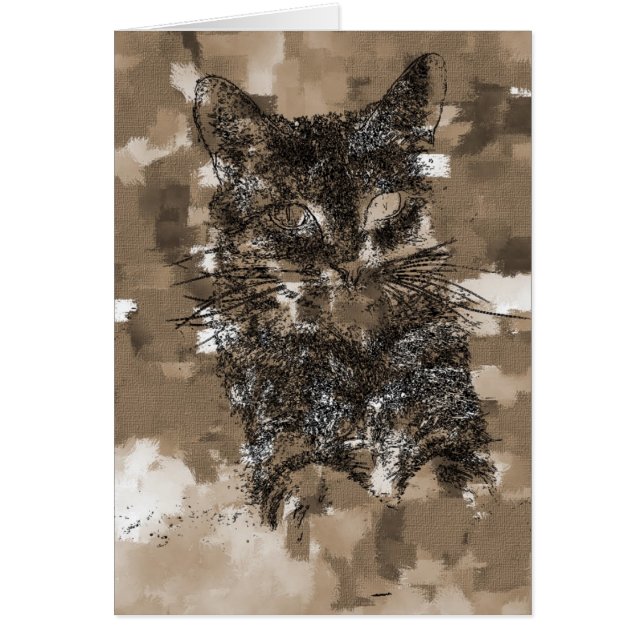 Kitty (Front)