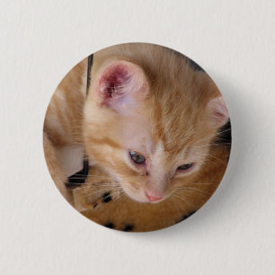 KITTY 2 INCH ROUND BUTTON