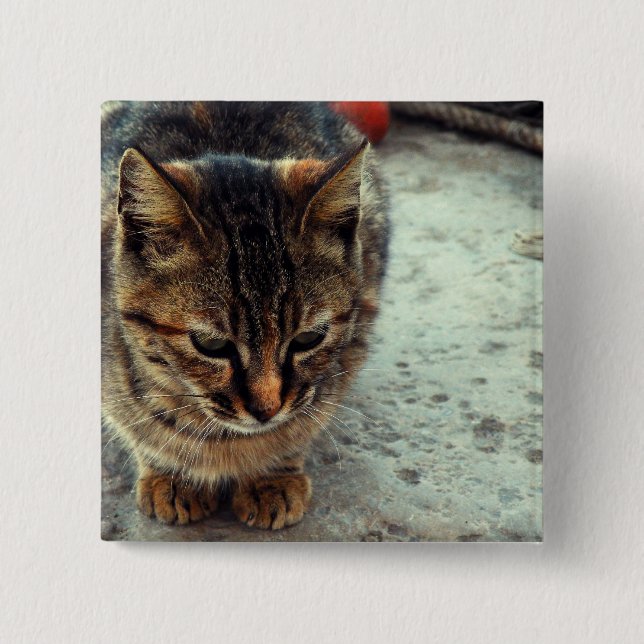 Kitty 2 Inch Square Button (Front)