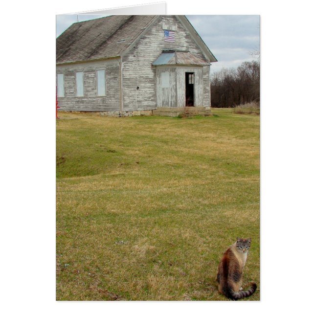 Kitty à l'école (Devant)