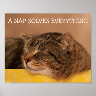 Kitty Advice Inspirational Poster