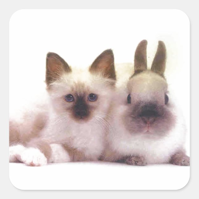 Kitty And Bunny Products Square Sticker (Front)