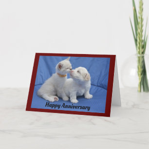 Kitty And Puppy Anniversary Greeting Card