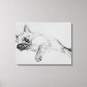 Kitty 'Baby' Canvas Print