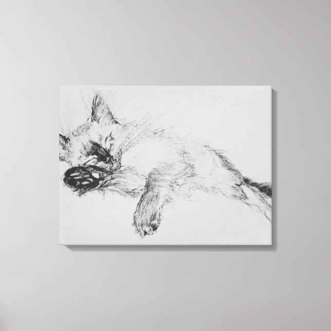 Kitty 'Baby' Canvas Print (Front)