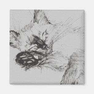 Kitty 'Baby' Magnet