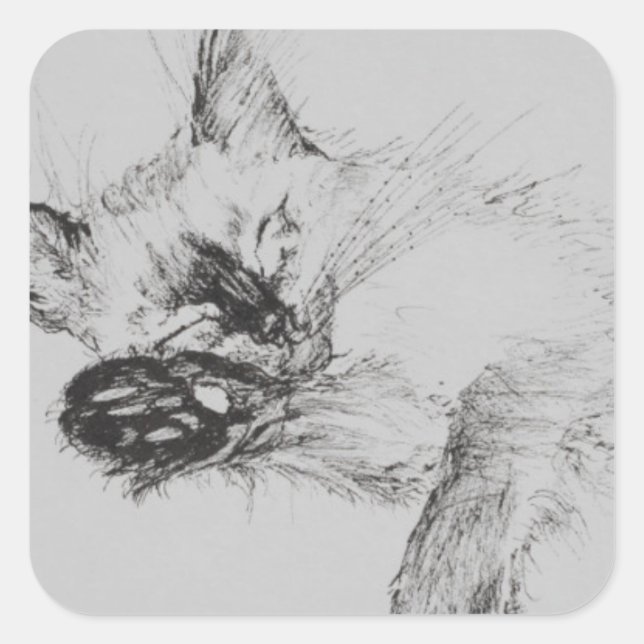 Kitty 'Baby' Square Sticker (Front)