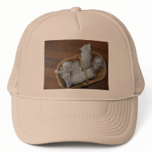 Kitty Ball Cap 