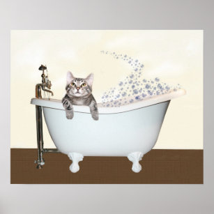 Cat Bath Art Wall Decor Zazzle Ca