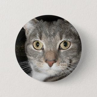Kitty button