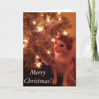 Kitty by the Christmas Tree Greeting Card