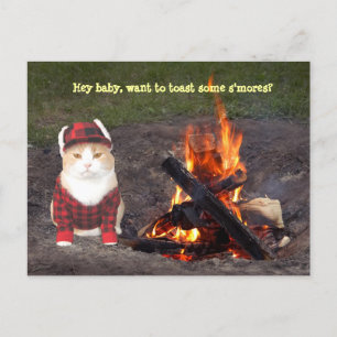 Kitty Campfire Postcard