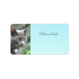 Kitty Cat Address Labels