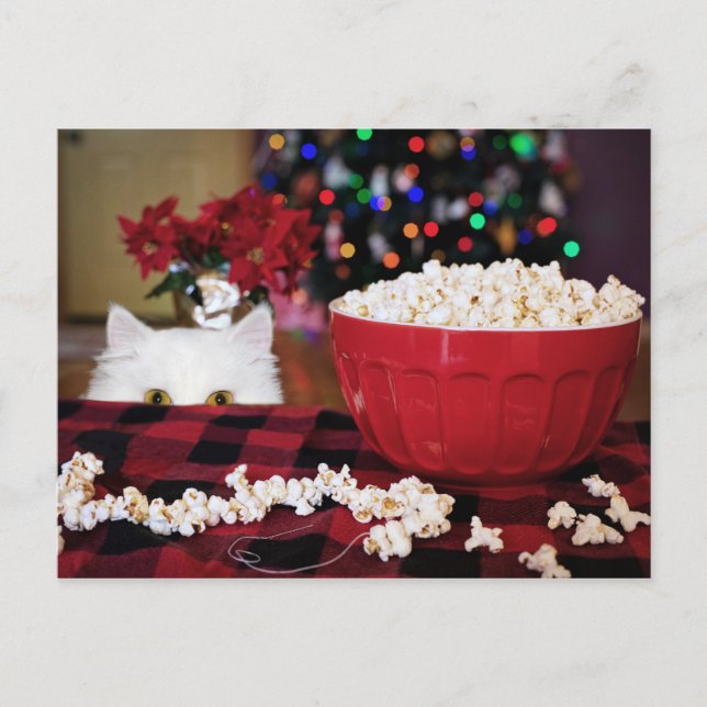 Kitty cat Christmas temptation Postcard (Front)