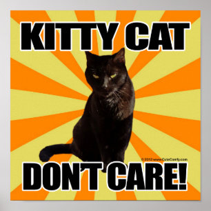 Kitty Cat Don't Care Poster