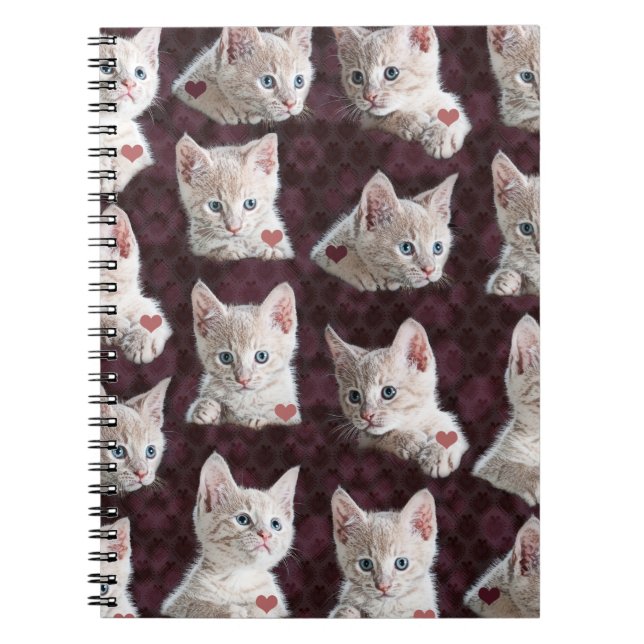 Kitty Cat Faces Pattern With Hearts Image Notebook (Front)