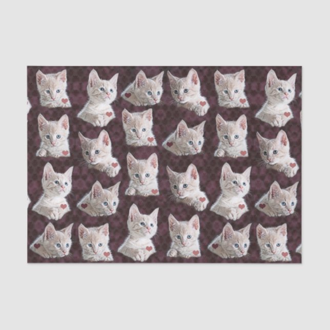 Kitty Cat Faces Pattern With Hearts Image Tissue Paper (Front)