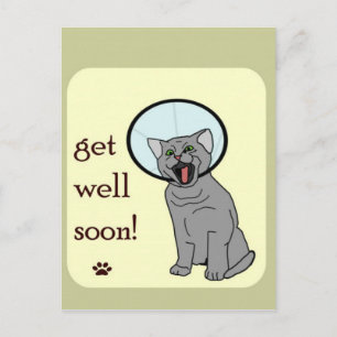 Kitty Cat Get Well Soon Postcard
