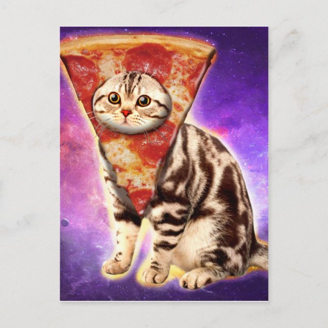 Kitty cat head pizza postcard (Front)