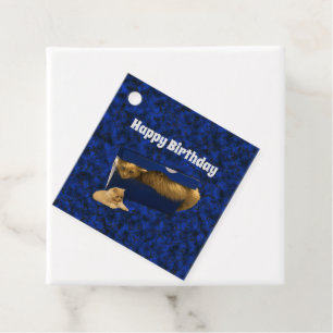 Kitty Cat Hiding In Shoe Box, Birthday Gift Tags