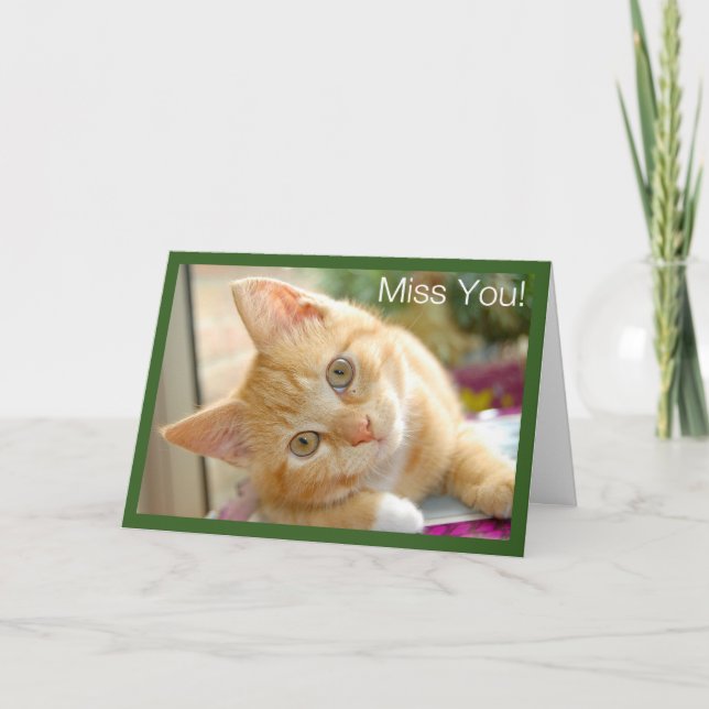Kitty Cat - Kitten Miss You Card (Front)