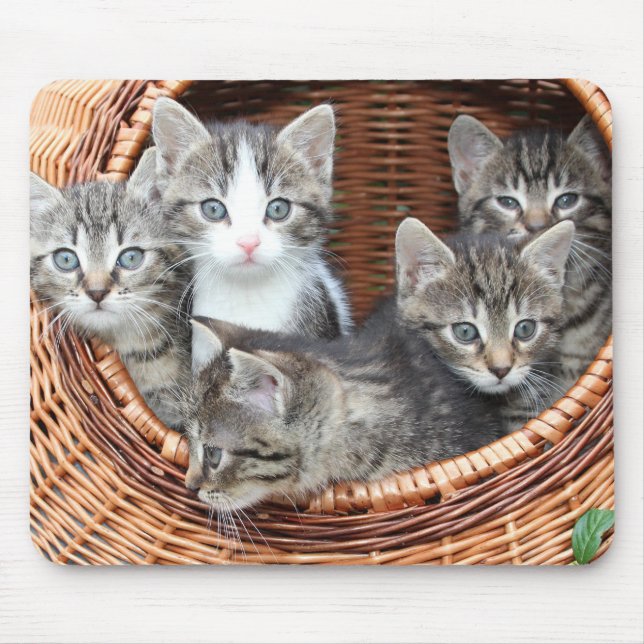 Kitty Cat Kittens In A Basket Mouse Pad (Front)
