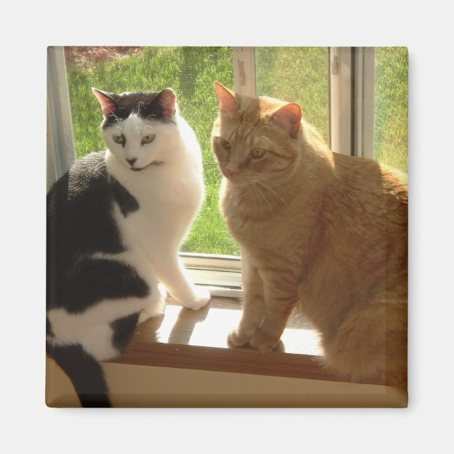 Kitty Cat Love Magnet (Front)