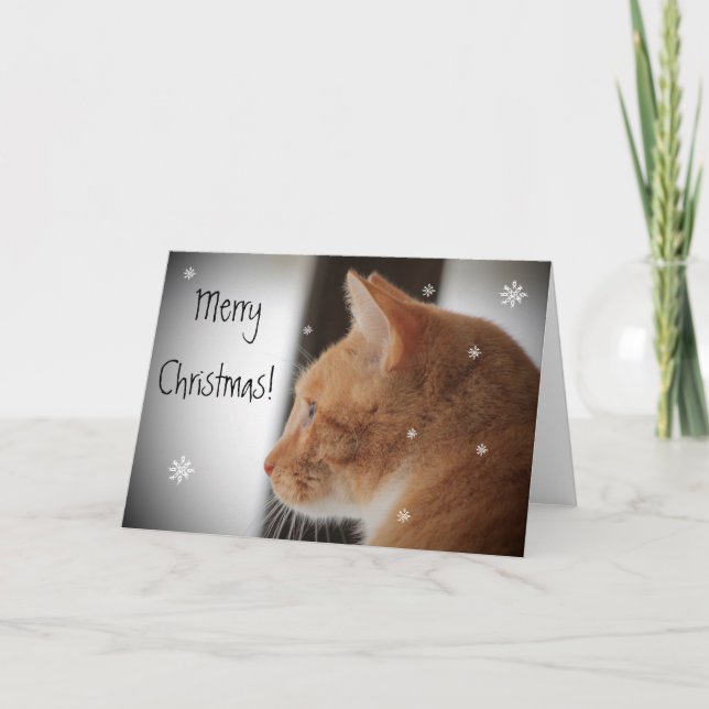 Kitty Cat Merry Christmas Holiday Card (Front)