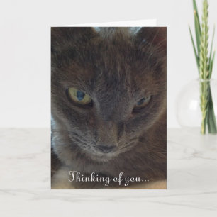Kitty Cat Obtenez une carte de voeux