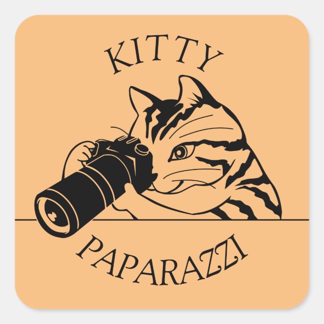 Kitty Cat Paparazzi -Photographer Square Sticker (Front)