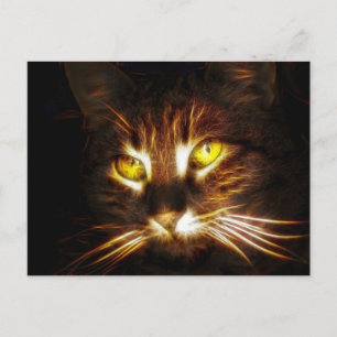 Kitty Cat post card