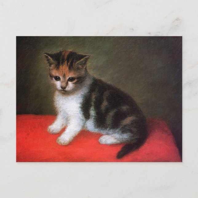 Kitty Cat Postcard:  Kitten by George Stubbs Postcard (Front)