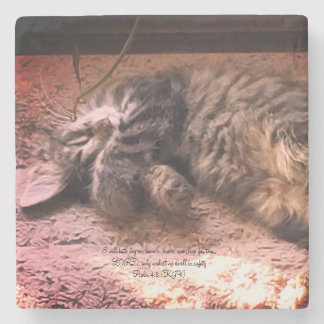 Kitty Cat Psalm 4:8 Stone Coaster