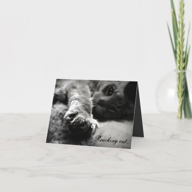 Kitty Cat Valentine's Day Card (Front)