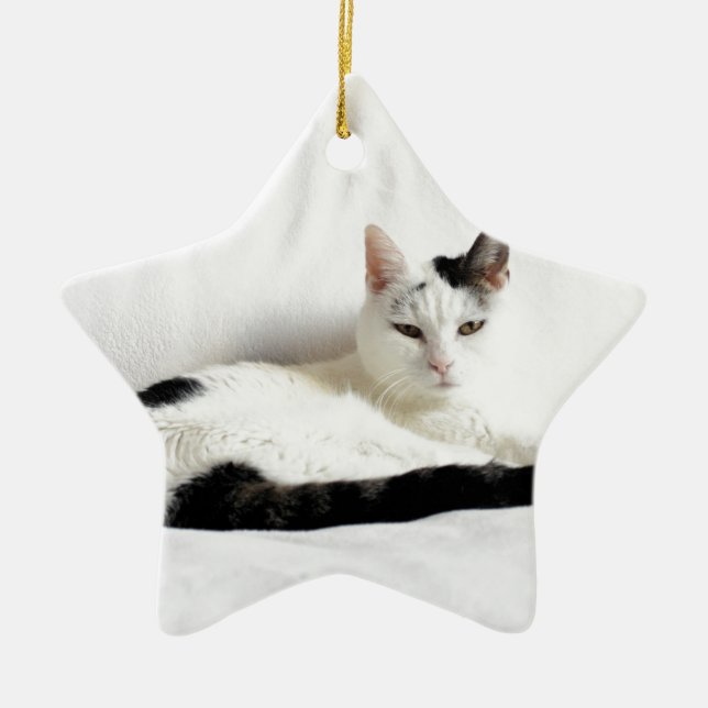 Kitty Cat, White and Black Cat Relaxing Ceramic Ornament (Front)