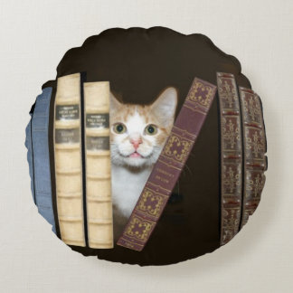 Kitty cat with books round pillow