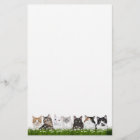 Kitty cats in daisies