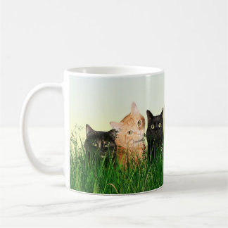 Kitty cats in the grass coffee mug
