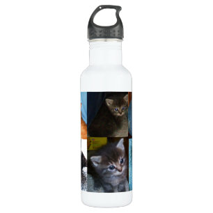 KITTY CATS jug 710 Ml Water Bottle